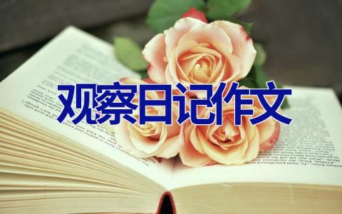 观察日记作文