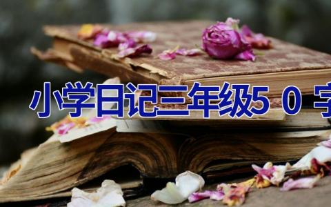 小学日记三年级50字
