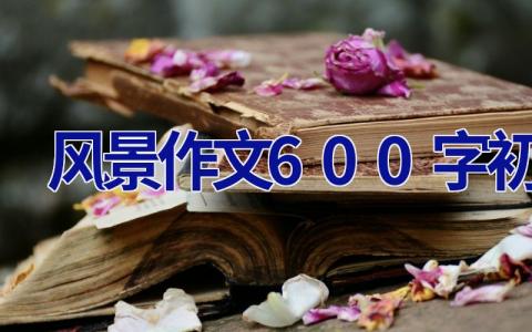 风景作文600字初中