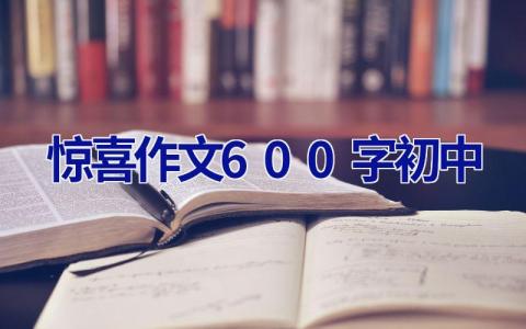 惊喜作文600字初中