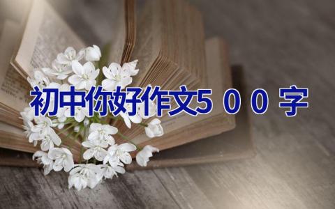 初中你好作文500字