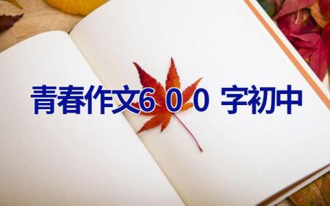 青春作文600字初中