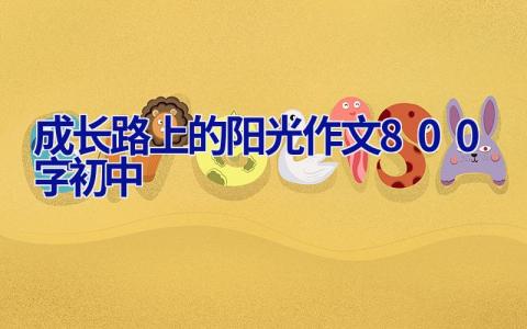 成长路上的阳光作文800字初中