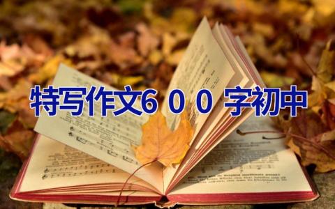 特写作文600字初中