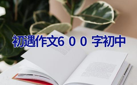 初遇作文600字初中