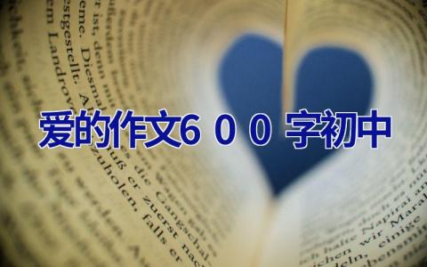 爱的作文600字初中
