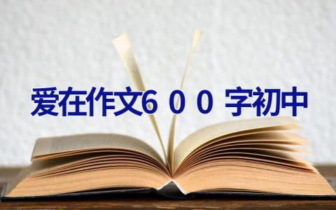 爱在作文600字初中