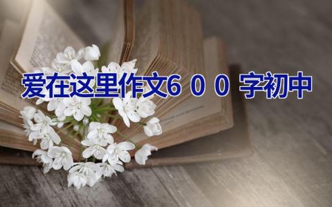 爱在这里作文600字初中