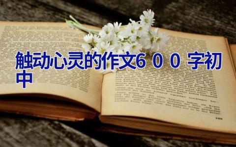 触动心灵的作文600字初中