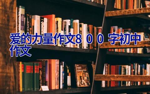 爱的力量作文800字初中作文 爱的力量作文800字初中作文议论文