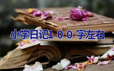小学日记100字左右