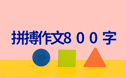 拼搏作文800字
