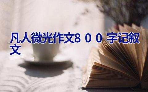 凡人微光作文800字记叙文