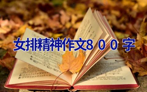 女排精神作文800字