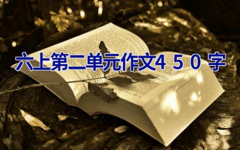 六上第二单元作文450字