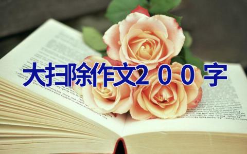 大扫除作文200字