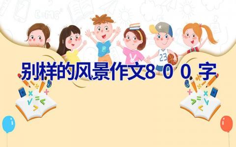 别样的风景作文800字