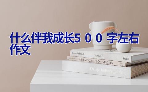 什么伴我成长500字左右作文