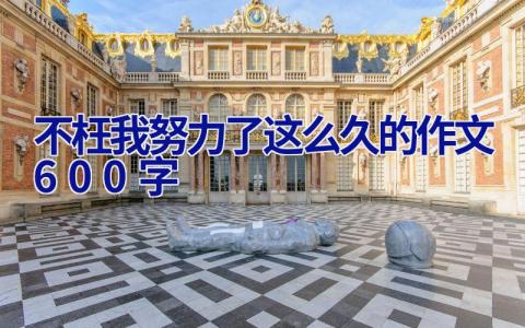不枉我努力了这么久的作文600字