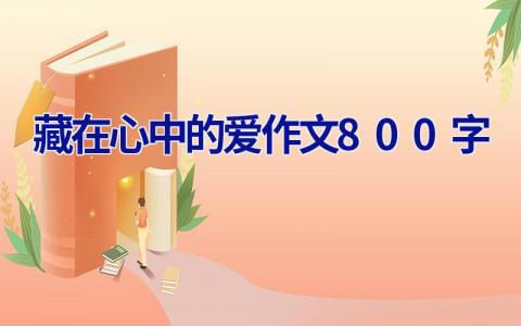藏在心中的爱作文800字