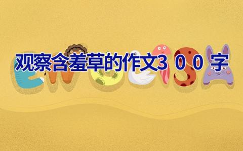 观察含羞草的作文300字