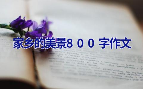 家乡的美景800字作文