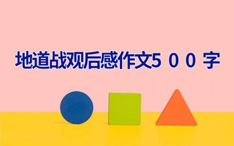 地道战观后感作文500字