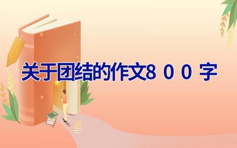 关于团结的作文800字