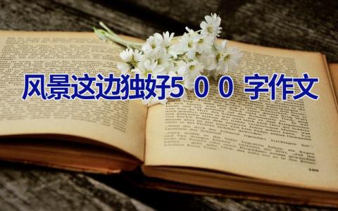 风景这边独好500字作文