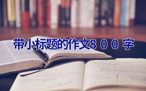 带小标题的作文800字