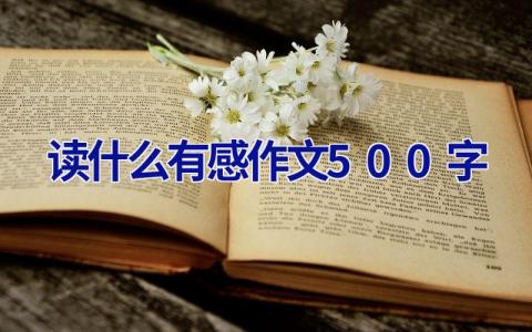 读什么有感作文500字