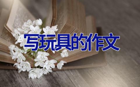 写玩具的作文