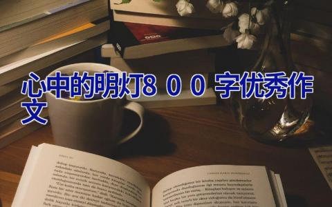 心中的明灯800字优秀作文
