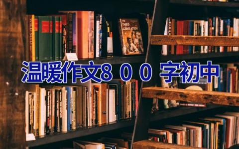 温暖作文800字初中