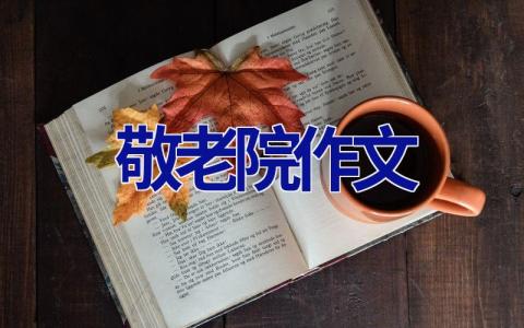 敬老院作文