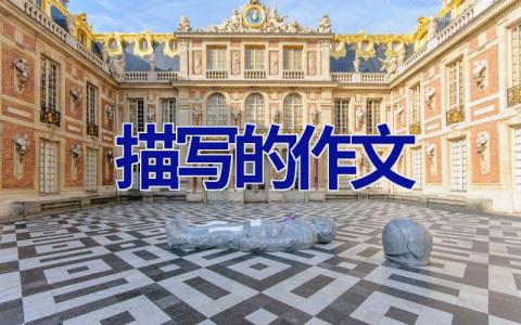 描写的作文