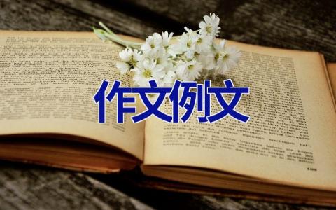 作文例文 作文例文400字