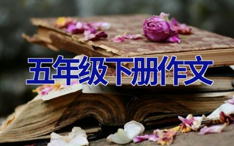五年级下册作文