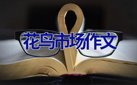 花鸟市场作文