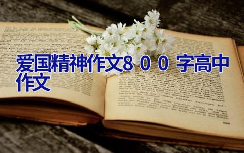爱国精神作文800字高中作文