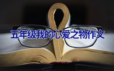 五年级我的心爱之物作文