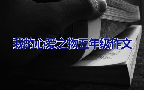 我的心爱之物五年级作文