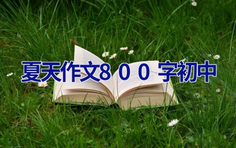 夏天作文800字初中