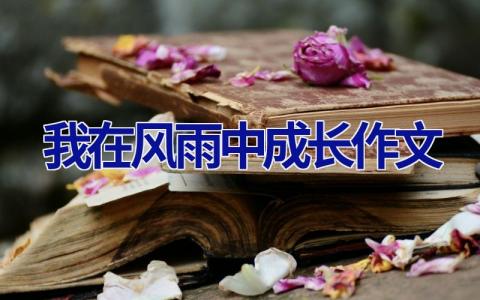我在风雨中成长作文