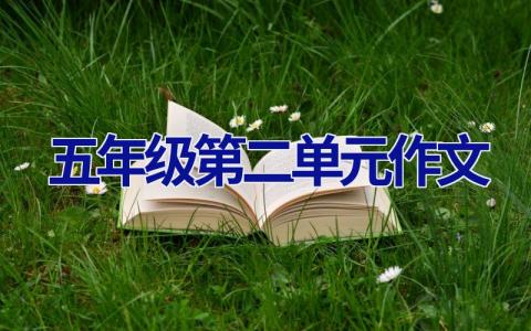 五年级第二单元作文