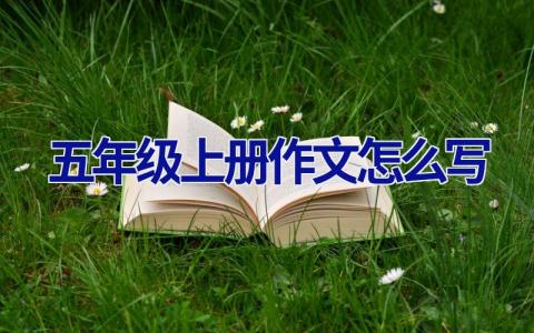 五年级上册作文怎么写