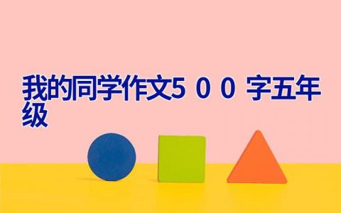 我的同学作文500字五年级