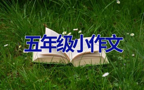 五年级小作文