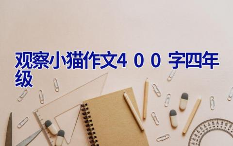 观察小猫作文400字四年级