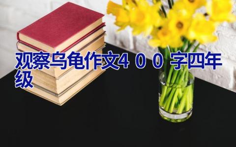 观察乌龟作文400字四年级